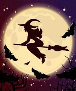 Flying Witch Silhouette - Paint By Number