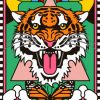 Mad Tiger Illustration paint by numbers