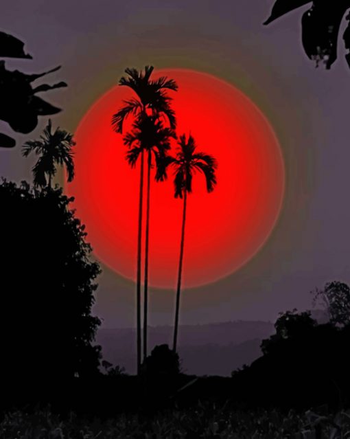 Palms Silhouette Sunset paint by numbers
