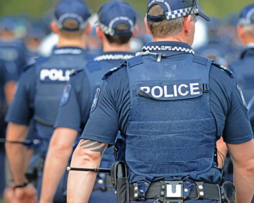 Police Men paint by numbers