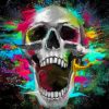 Screaming Skull paint by numbers