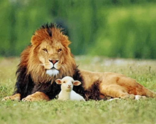 Lion And The Lamb Paint by numbers