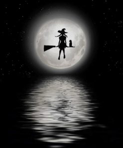 Midnight Witch Paint by numbers
