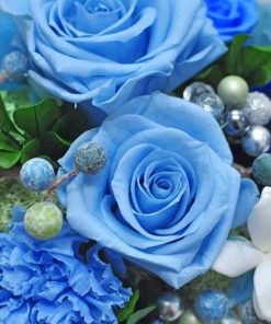 Aesthetic-blue-rose-paint-by-number