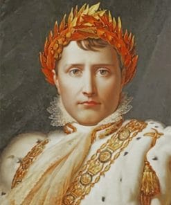 Bonaparte Napoleon paint by numbers