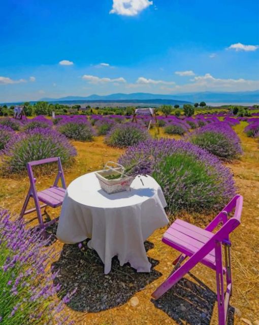 Picnic In Lavender Field paint by numbers