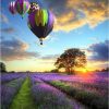 Air Balloon Lavender Field Paint by numbers