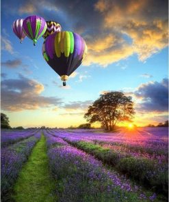 Air Balloon Lavender Field Paint by numbers