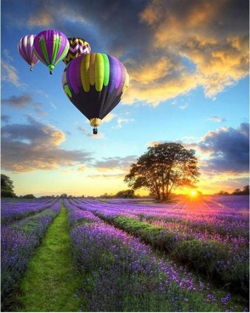 Air Balloon Lavender Field Paint by numbers