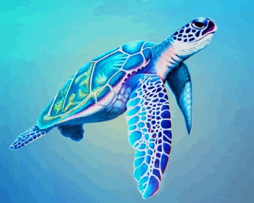 Sea-turtle-paint-by-number