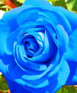 aesthetic-blue-rose-paint-by-numbers