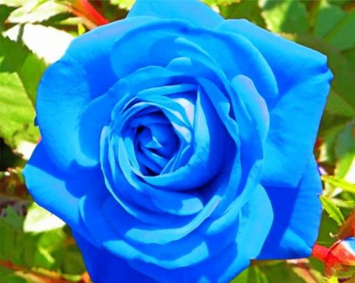 aesthetic-blue-rose-paint-by-numbers