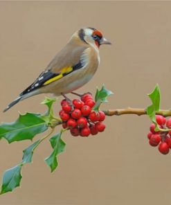 aesthetic-bullfinch-paint-by-number