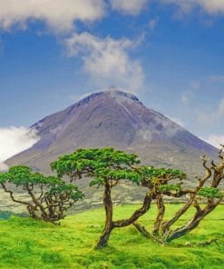 Azores Island - Paint By Numbers