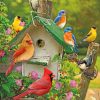 birds-paint-by-number