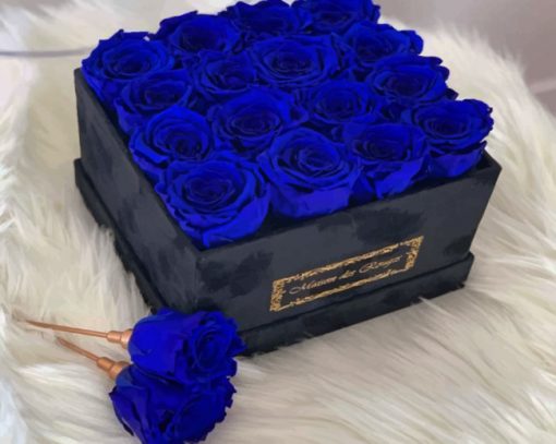 blue-rose-flowers-paint-by-number