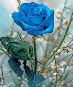 blue-rose-paint-by-number