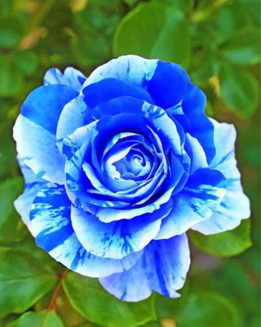 blue-rose-paint-by-numbers