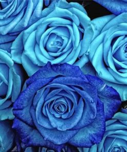 blue-roses-paint-by-number