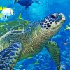 Blue Sea Turtle paint by numbers