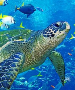 Blue Sea Turtle paint by numbers