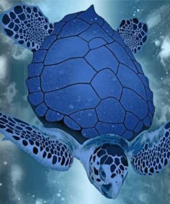 blue-turtle-paint-by-numbers