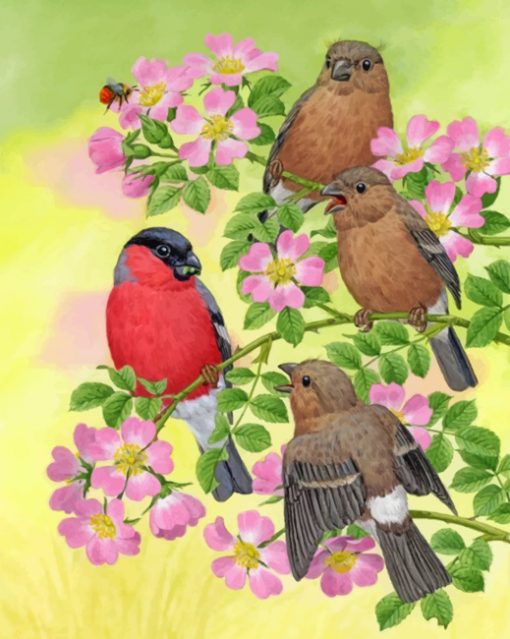bullfinch-paint-by-number-1