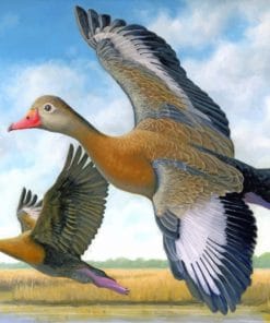 duck-in-flight-paint-by-numbers