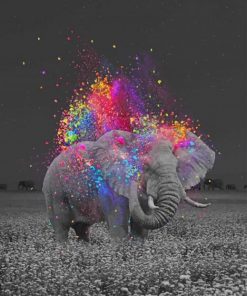 elephant-and-colors-paint-by-numbers