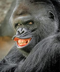 Evil Silverback Gorilla paint by numbers