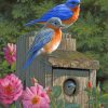 garden-bluebirds-paint-by-number
