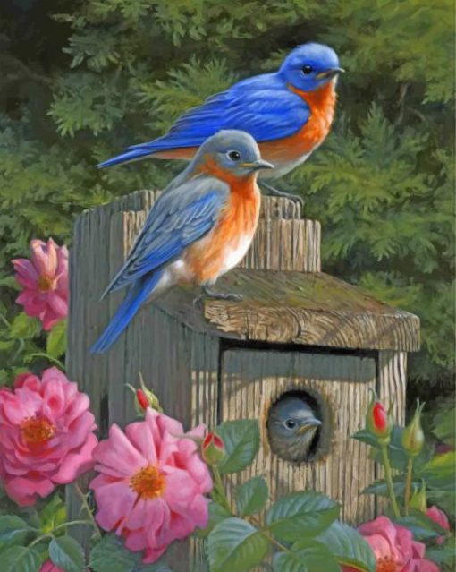 garden-bluebirds-paint-by-number