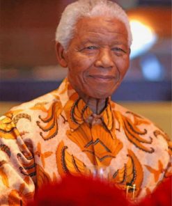 nelson-mandela-paint-by-number-1
