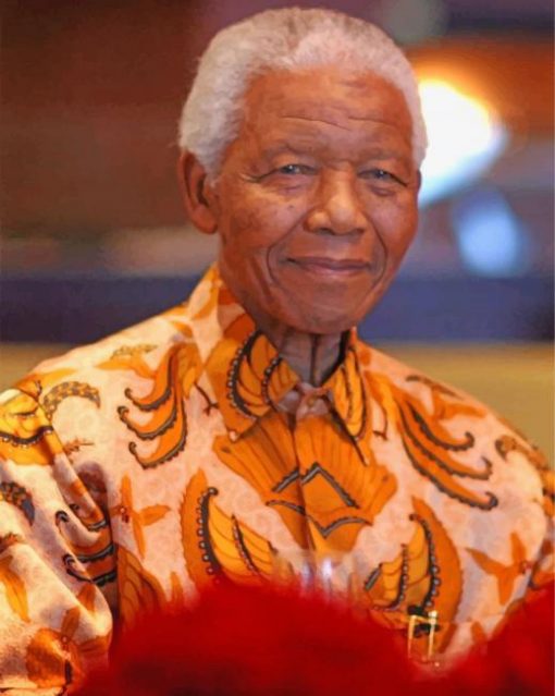 nelson-mandela-paint-by-number-1