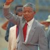 nelson-mandela-paint-by-numbers