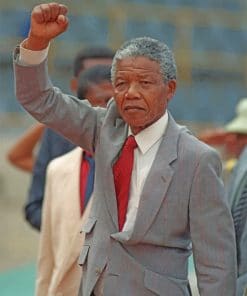 nelson-mandela-paint-by-numbers