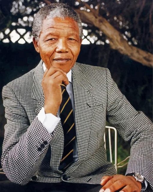 nelson-mandela-president-paint-by-number
