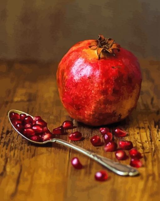 pomegranat-still-life-photography-paint-by-numbers