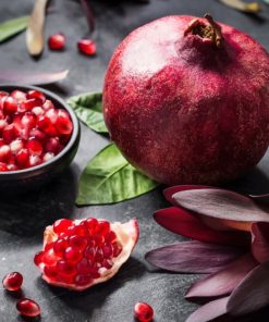 pomegranate-artistic-photography-paint-by-number