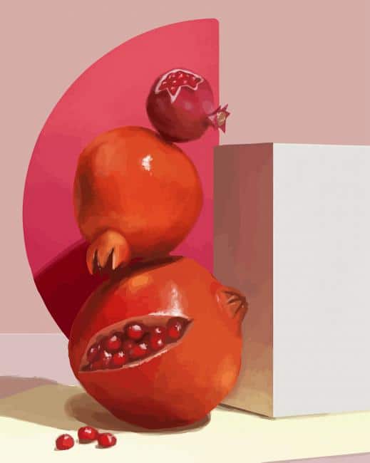 pomegranate-artwork-paint-by-numbers