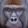 silverback-gorilla-face-paint-by-numbers