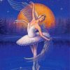 Swan Lake paint by numbers