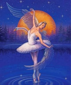 Swan Lake paint by numbers