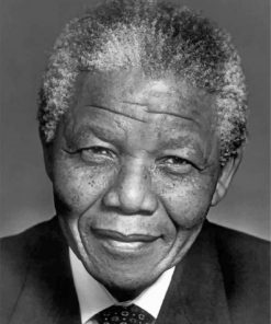 The President Nelson Mandela