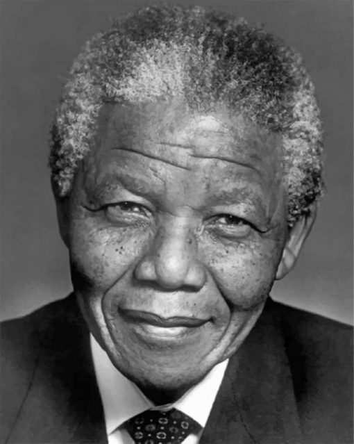 The President Nelson Mandela