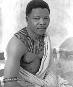 young-nelson-mandela-paint-by-numbers