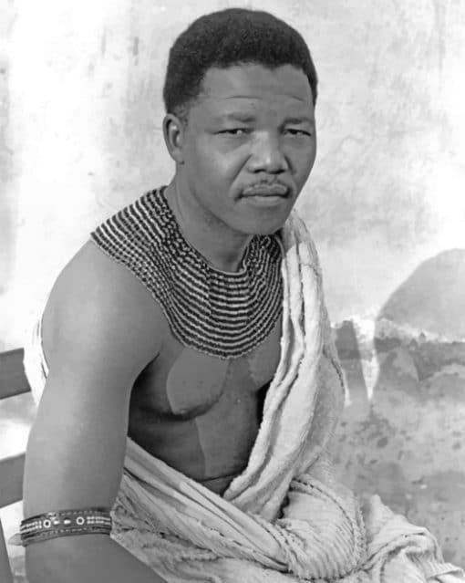young-nelson-mandela-paint-by-numbers