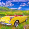 1955 Buick Skylark Paint by numbers