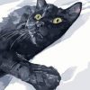 Aesthetic Abstract Cat Paint by numbers