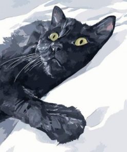 Aesthetic Abstract Cat Paint by numbers